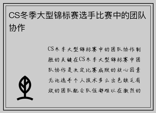 CS冬季大型锦标赛选手比赛中的团队协作