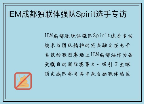 IEM成都独联体强队Spirit选手专访