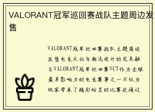 VALORANT冠军巡回赛战队主题周边发售